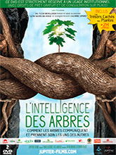 L'intelligence des arbres / Julie Dordel, Guido Tölke, réalisateurs | Dordel, Julie