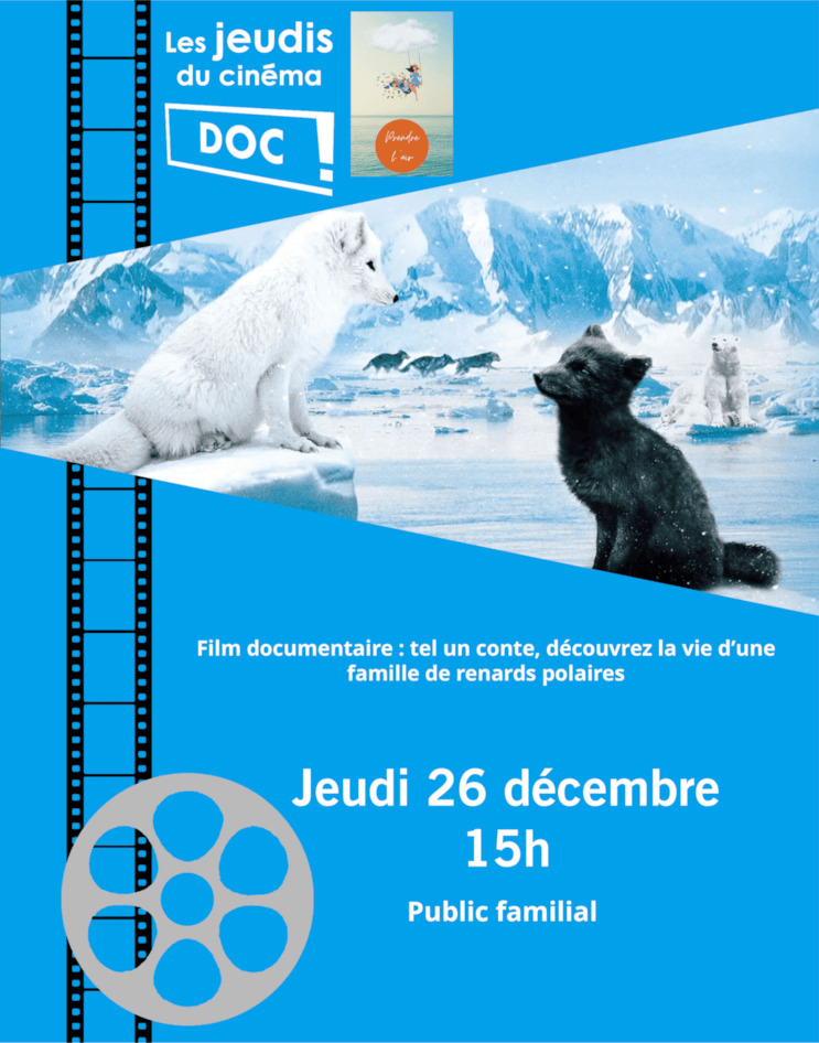 Les jeudis du doc | 