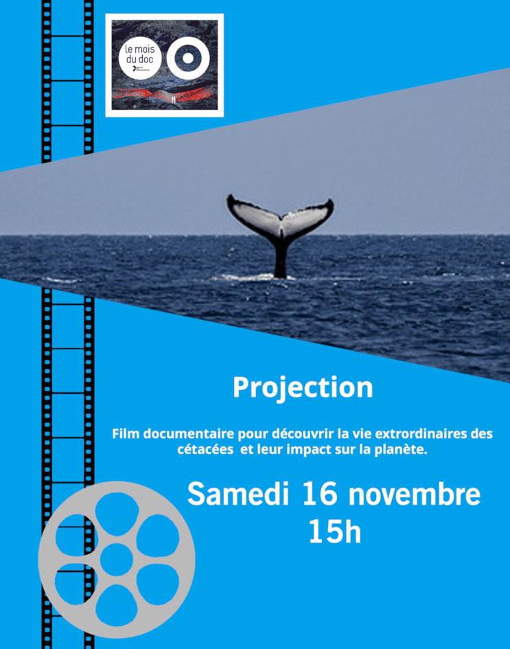 Projection dans le cardre du Moi du Doc