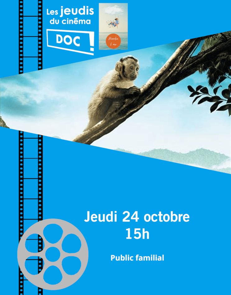 Les jeudis du doc